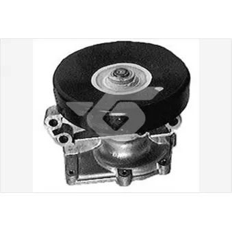 Pompe à eau HUTCHINSON WP230