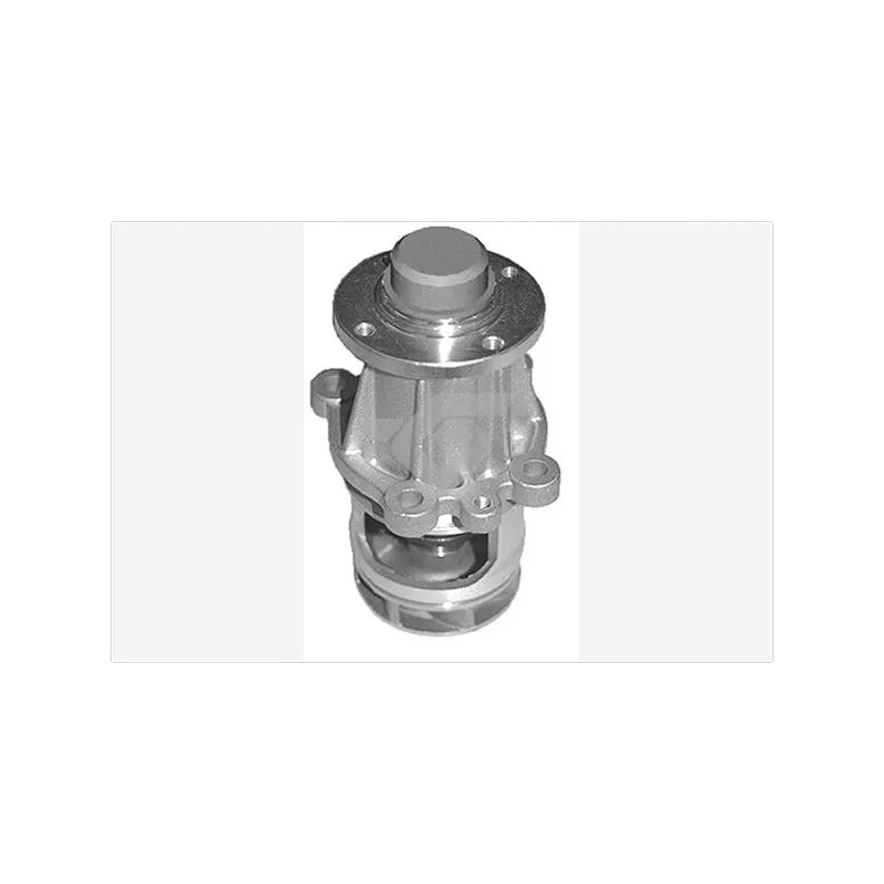 Pompe à eau HUTCHINSON WP232