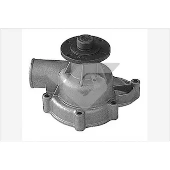 Pompe à eau HUTCHINSON WP234