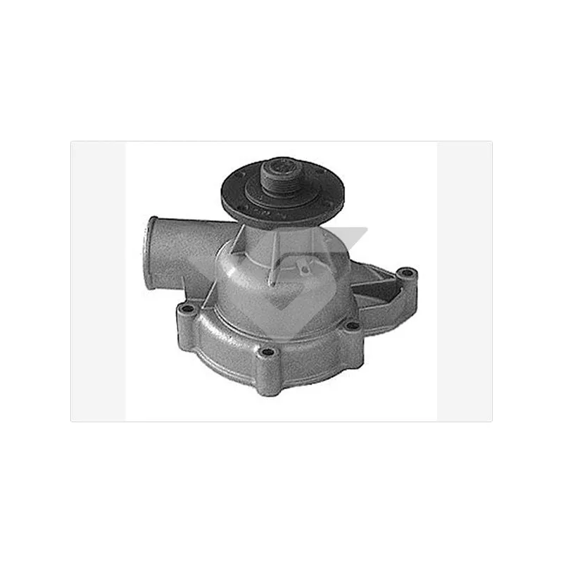 Pompe à eau HUTCHINSON WP234