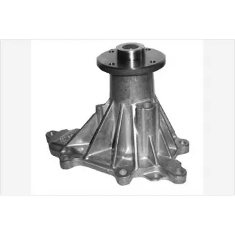 Pompe à eau HUTCHINSON WP239