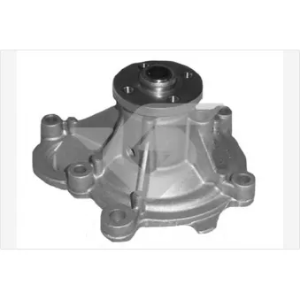 Pompe à eau HUTCHINSON WP240