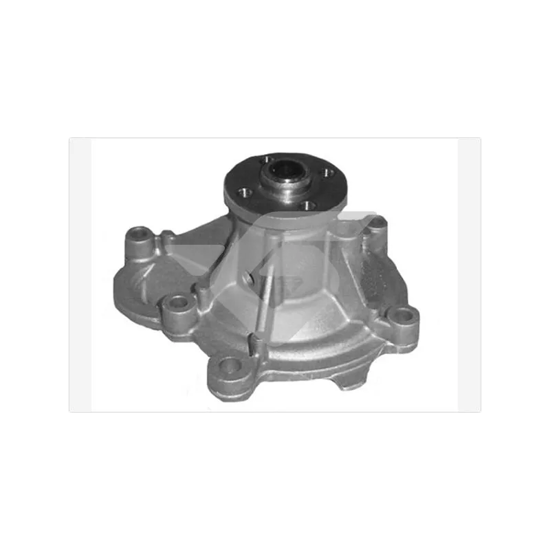 Pompe à eau HUTCHINSON WP240
