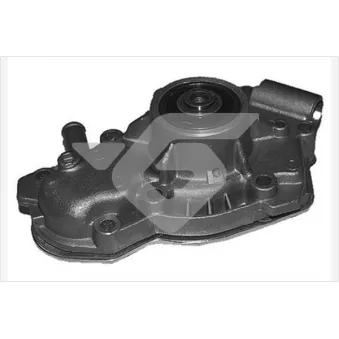 Pompe à eau HUTCHINSON WP245