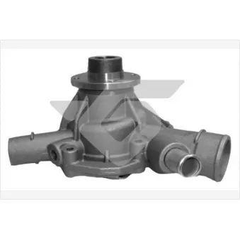 Pompe à eau HUTCHINSON WP246