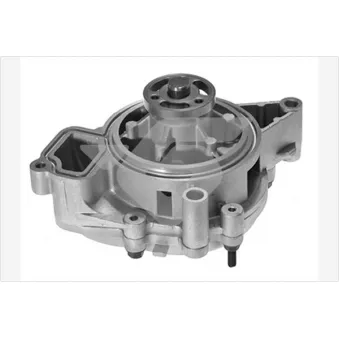 Pompe à eau HUTCHINSON WP247