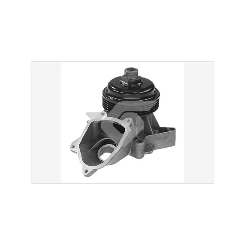 Pompe à eau HUTCHINSON WP248