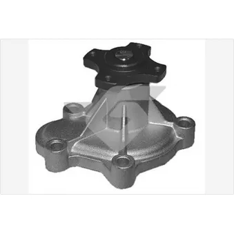 Pompe à eau HUTCHINSON WP255