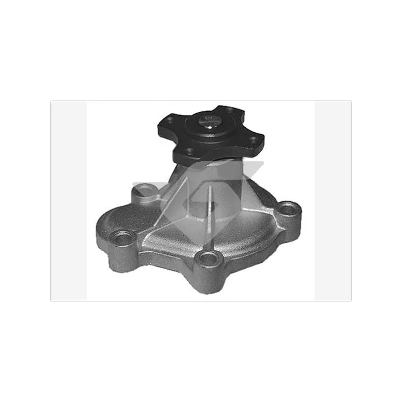 Pompe à eau HUTCHINSON WP255