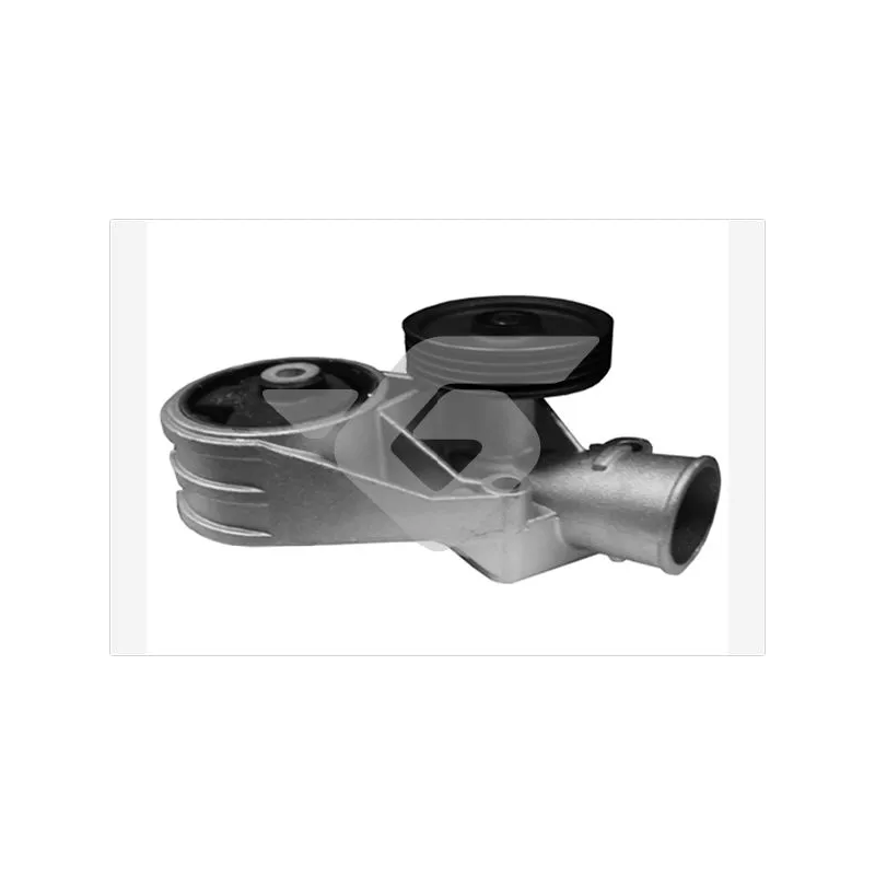 Pompe à eau HUTCHINSON WP256
