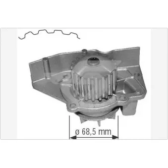 Pompe à eau HUTCHINSON WP26