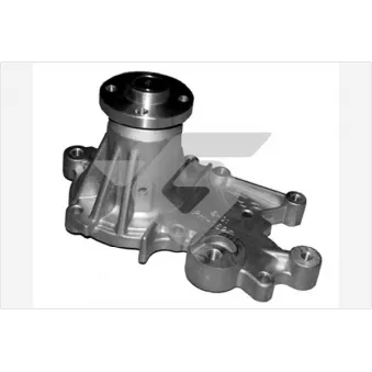 Pompe à eau HUTCHINSON WP267