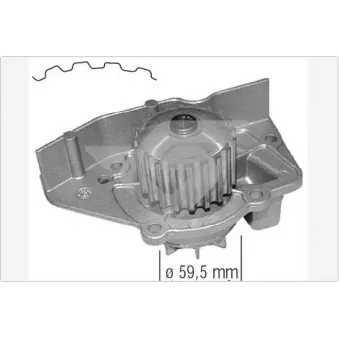 Pompe à eau HUTCHINSON WP27