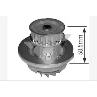 Pompe à eau HUTCHINSON WP279