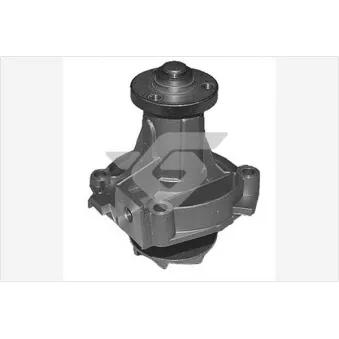 Pompe à eau HUTCHINSON WP281