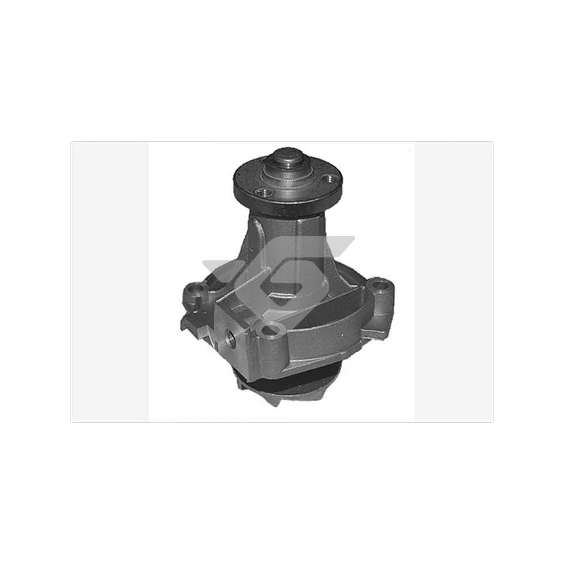 Pompe à eau HUTCHINSON WP281
