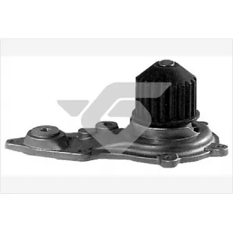 Pompe à eau HUTCHINSON WP300