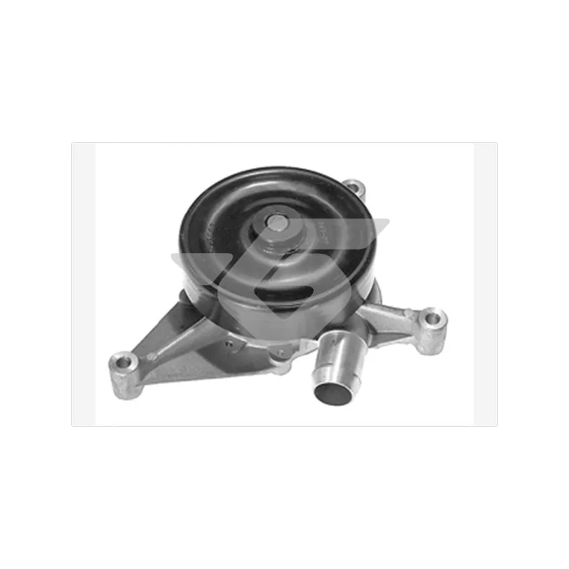 Pompe à eau HUTCHINSON WP301