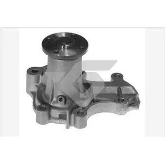 Pompe à eau HUTCHINSON WP302