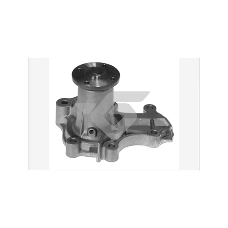 Pompe à eau HUTCHINSON WP302