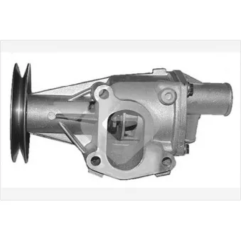 Pompe à eau HUTCHINSON WP303