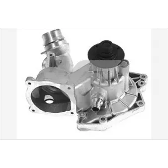 Pompe à eau HUTCHINSON WP307
