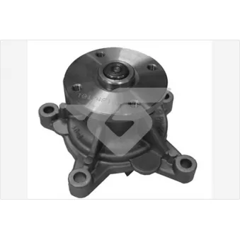 Pompe à eau HUTCHINSON WP309