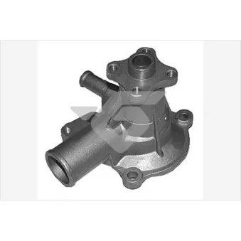Pompe à eau HUTCHINSON WP313