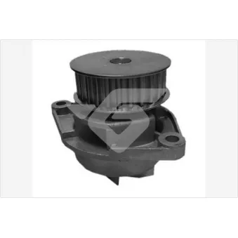 Pompe à eau HUTCHINSON WP32