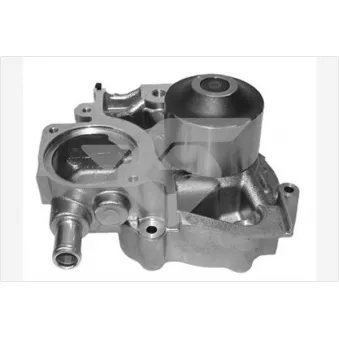 Pompe à eau HUTCHINSON WP338