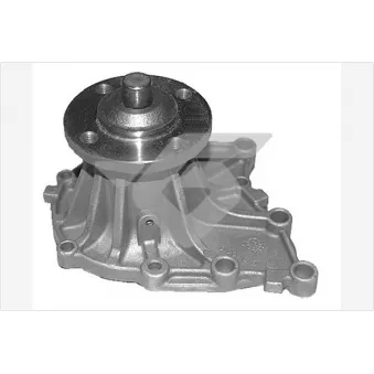 Pompe à eau HUTCHINSON WP355