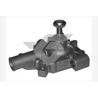 Pompe à eau HUTCHINSON WP358