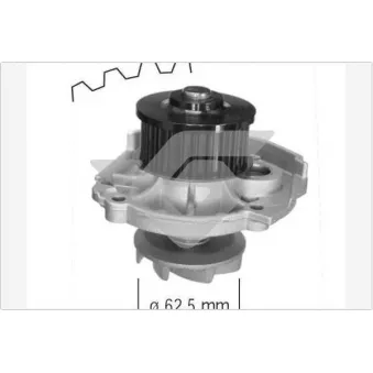 Pompe à eau HUTCHINSON WP46