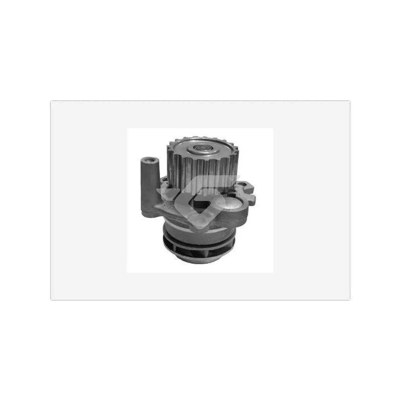 Pompe à eau HUTCHINSON WP52