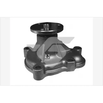 Pompe à eau HUTCHINSON WP97