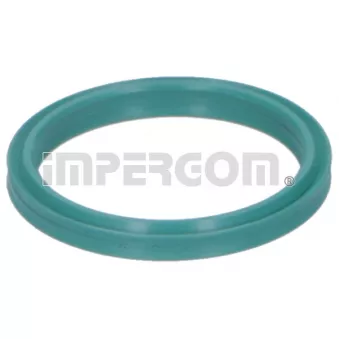 Bague d'étanchéité, gaine de suralimentation ORIGINAL IMPERIUM 20291