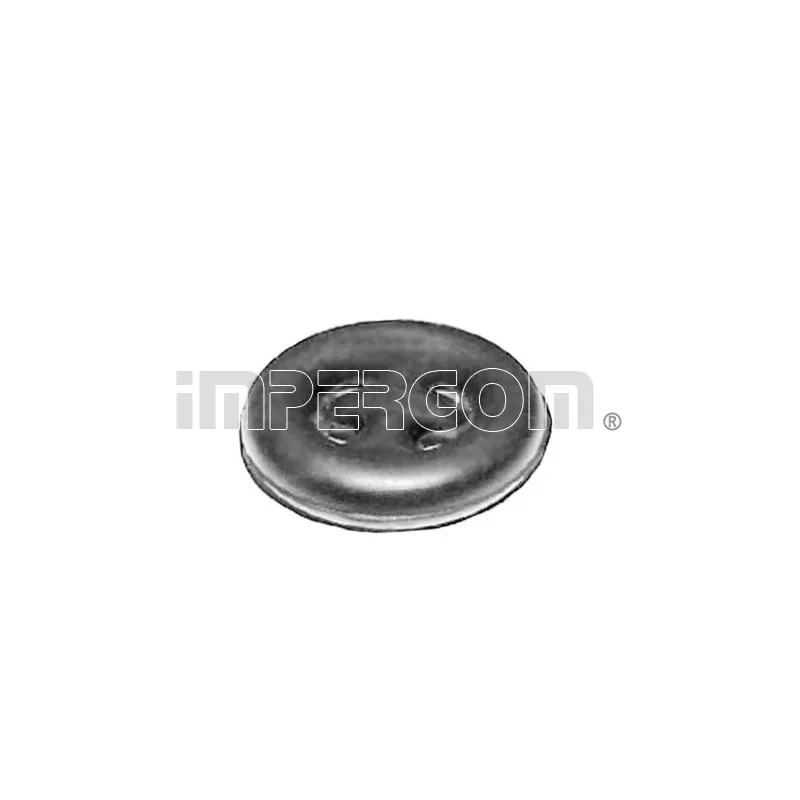 Anneau de fixation, silencieux ORIGINAL IMPERIUM 28462