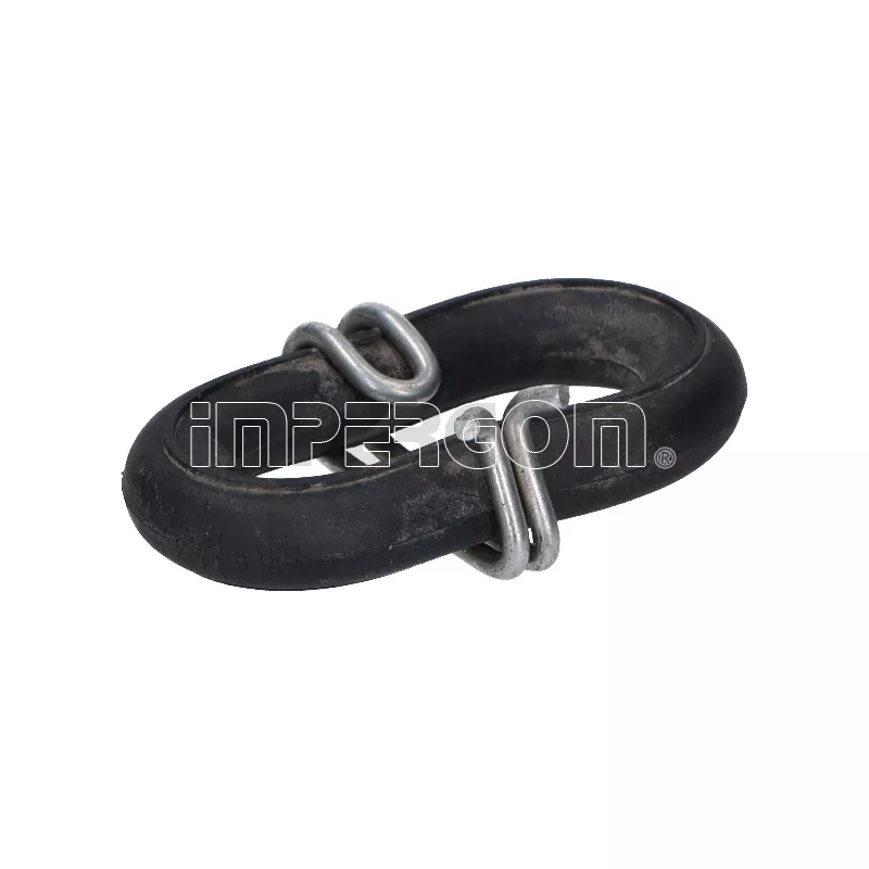 Anneau de fixation, silencieux ORIGINAL IMPERIUM 29487