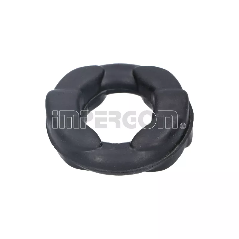 Anneau de fixation, silencieux ORIGINAL IMPERIUM 30021