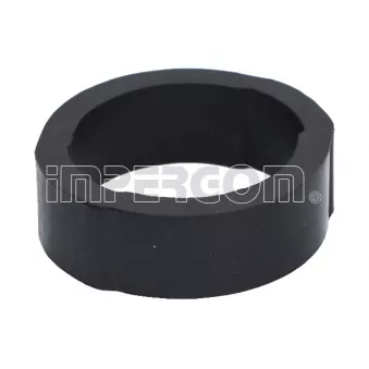 Anneau de fixation, silencieux ORIGINAL IMPERIUM 30033