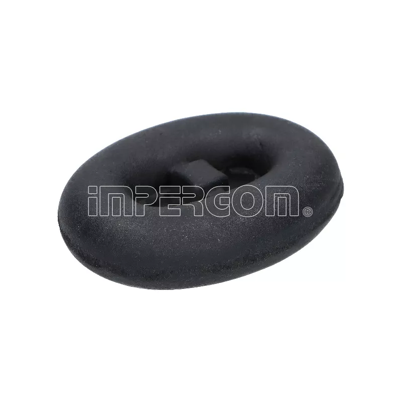 Anneau de fixation, silencieux ORIGINAL IMPERIUM 31217