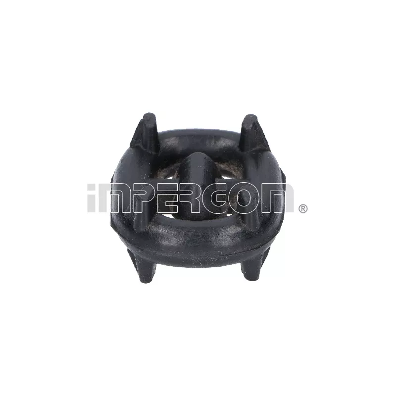 Anneau de fixation, silencieux ORIGINAL IMPERIUM 31913