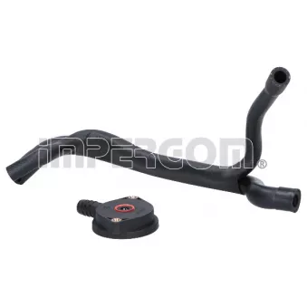 Kit de réparation, ventilation du carter-moteur ORIGINAL IMPERIUM 4842
