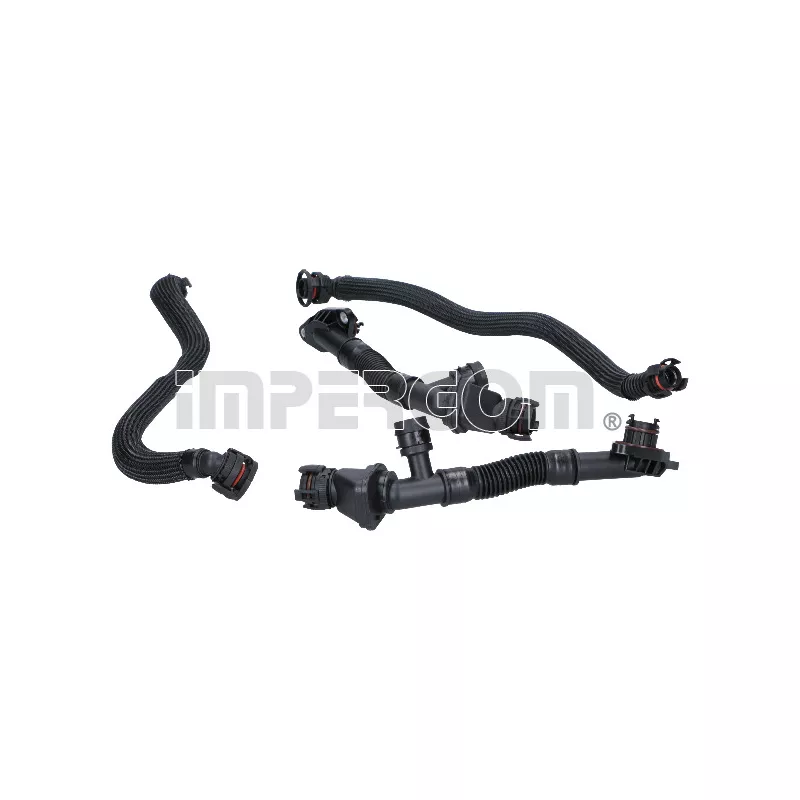 Kit de réparation, ventilation du carter-moteur ORIGINAL IMPERIUM 4869
