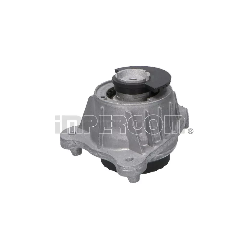 Support moteur avant gauche ORIGINAL IMPERIUM 610019