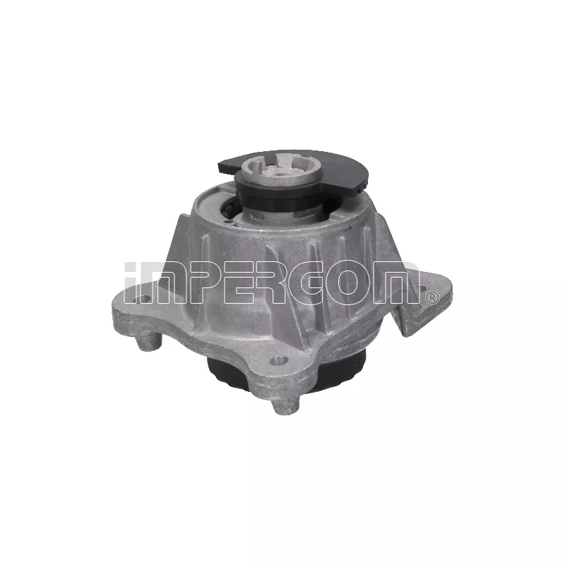 Support moteur avant droit ORIGINAL IMPERIUM 610020
