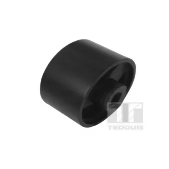 Suspension, Différentiel TEDGUM 00028545