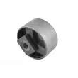 Suspension, Différentiel TEDGUM 00028546 - Visuel 2