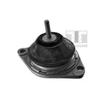 Support moteur TEDGUM 00050297
