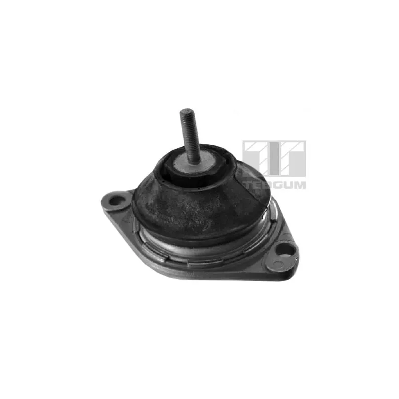 Support moteur TEDGUM 00050297